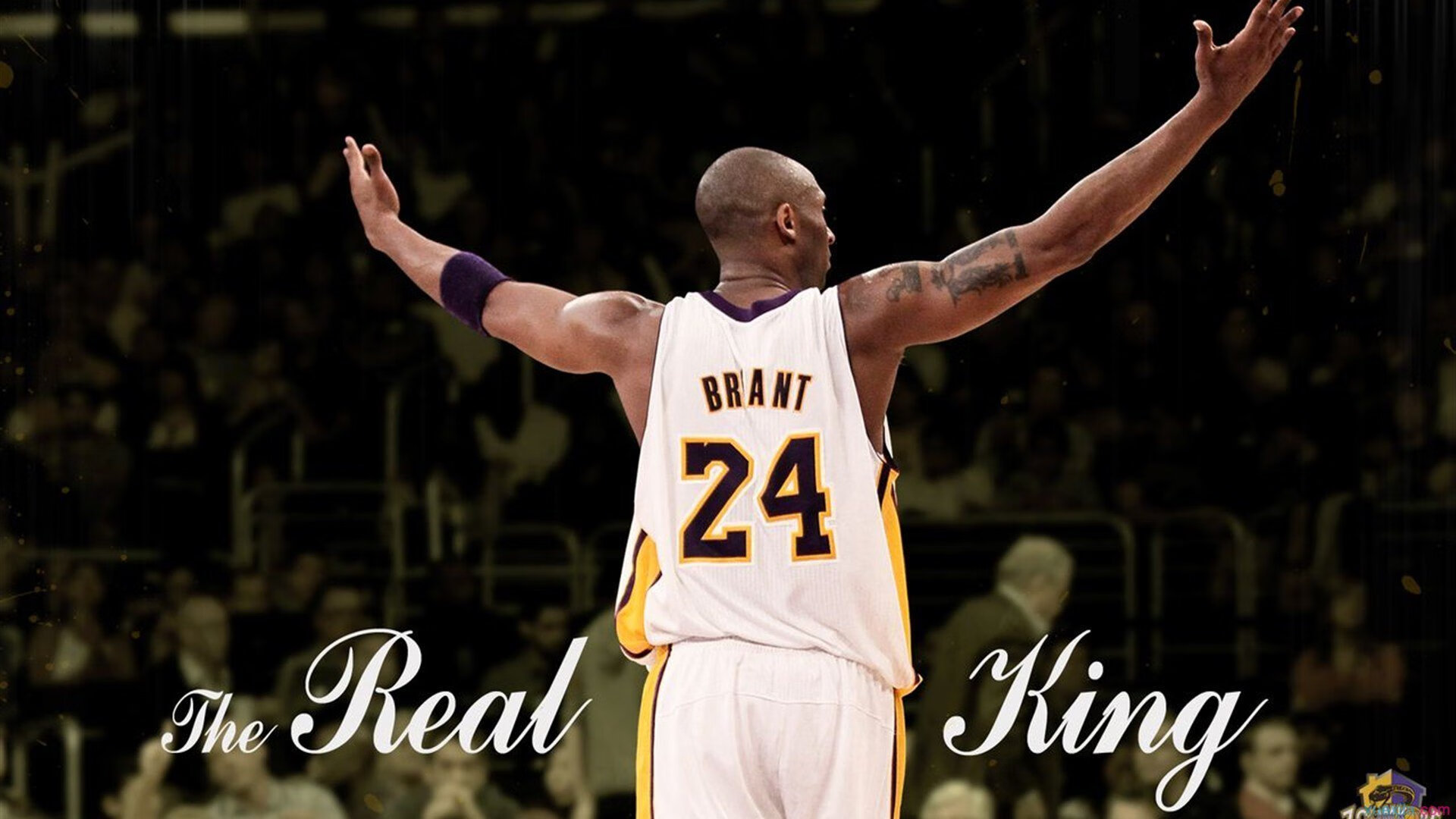 舞台中央的独舞者，奥斯梅恩与塞内加尔的弑君之战